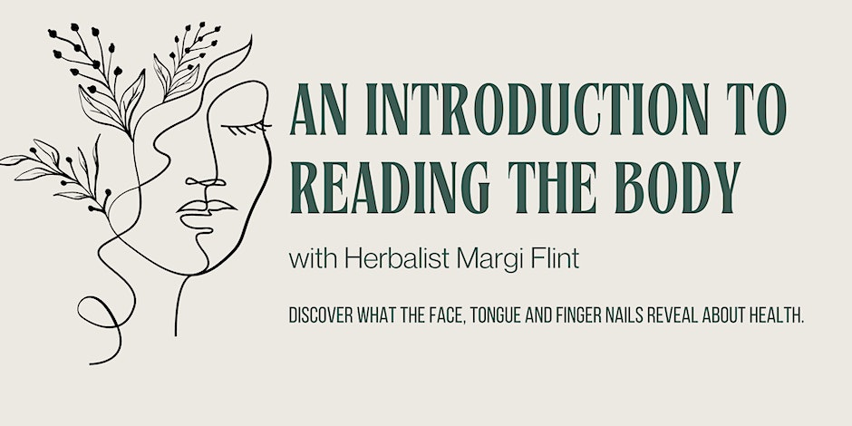 An Introduction to Reading the Body with Margi Flint